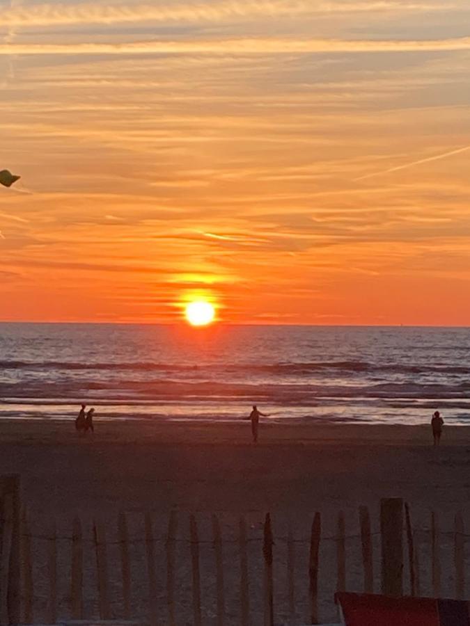 Bij Frits Daire Zandvoort Dış mekan fotoğraf